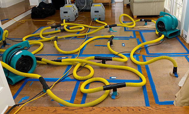 Professional Crawl Space Water Removal technician working in Smithton, IL